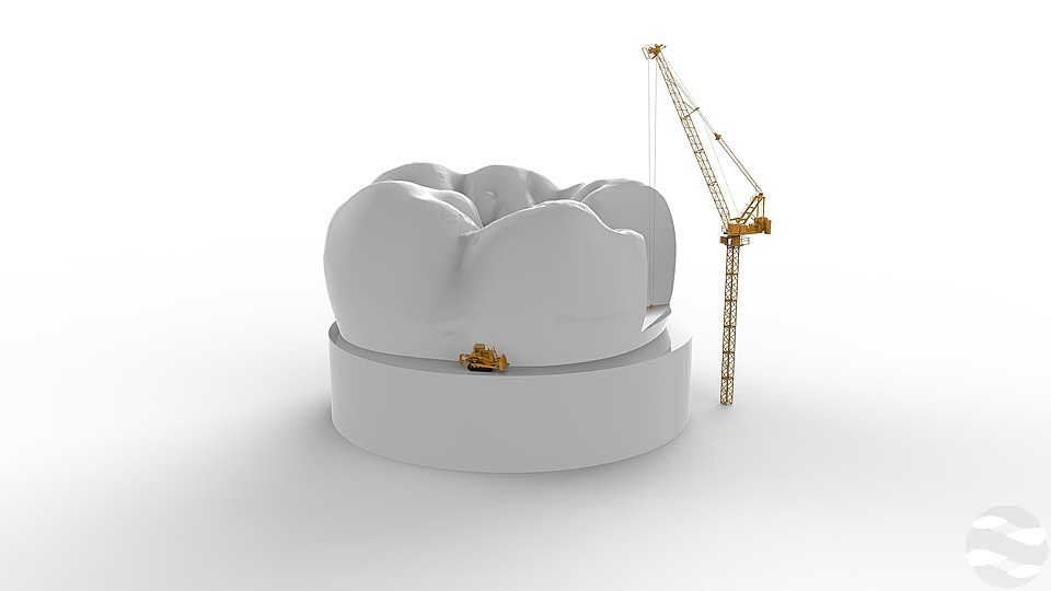 lionfive-tooth-2869725 